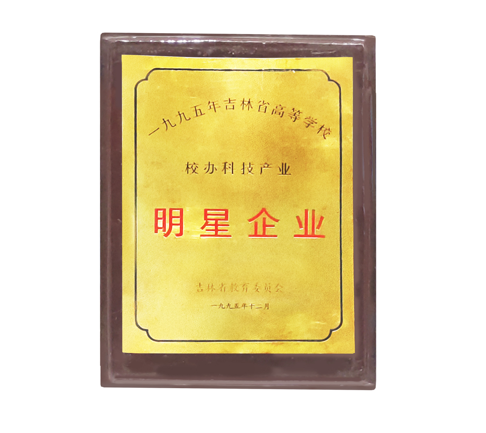 1995-明星企業1000.jpg